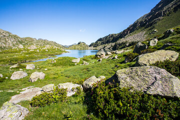 Summer landscape in Aiguestortes and Sant Maurici National Park, Spain