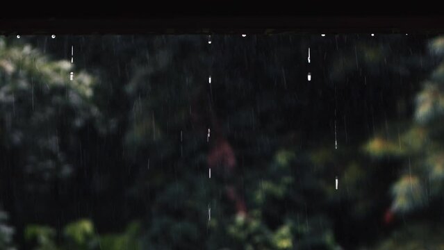 Fresh summer showers during the rainy season, raindrops that form on the eaves of the roof and fall down, transparent water drops, and comfortable and cozy emotional rain sounds ASMR
