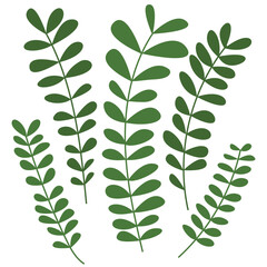 Branches with leaves vector flat style set