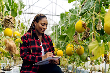 Portrait of of owner african american woman business farmer check quality product, agriculture,...