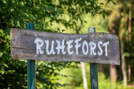 Schild mit der Aufschrift Ruheforst vor einem Friedwald