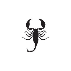 scorpion drawing, Black scorpion, scorpion on transparent png
