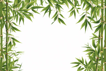 Bamboo tree on a white background