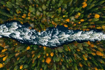 Abwaschbare Fototapete Waldfluss Aerial view of fast blue river flow through fall colorful trees in woods forest.
