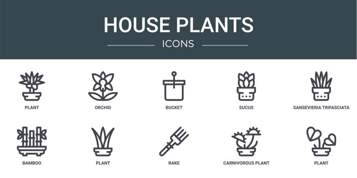 set of 10 outline web house plants icons such as plant, orchid, bucket, sucus, sansevieria trifasciata, bamboo, plant vector icons for report, presentation, diagram, web design, mobile app