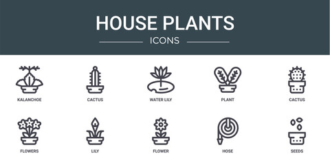 set of 10 outline web house plants icons such as kalanchoe, cactus, water lily, plant, cactus, flowers, lily vector icons for report, presentation, diagram, web design, mobile app