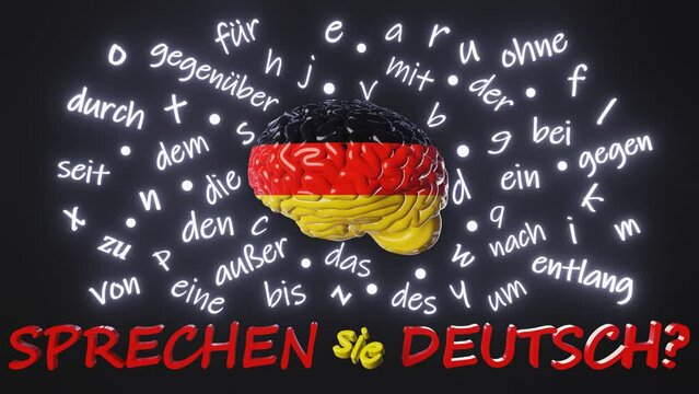 Sprechen Sie Deutsch Do You Speak German translation. Learning Foreign language fluency Human brain letters articles words prepositions 3d animation. Studying Online course education Listening Reading
