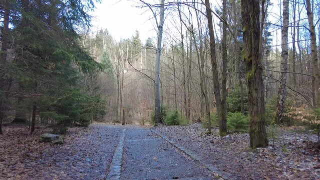 Blansko district, Czech Republic - February 25, 2023: Punkva Caves. Caves Moravian Karst. Stolognites, the underworld.