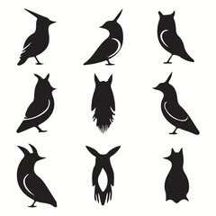 Bandicoot silhouettes and icons. Black flat color simple elegant Bandicoot animal vector and illustration.