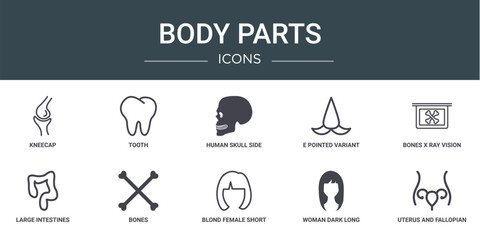 set of 10 outline web body parts icons such as kneecap, tooth, human skull side view, e pointed variant with mustache, bones x ray vision, large intestines, bones vector icons for report,