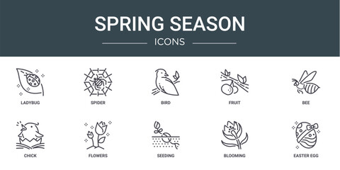set of 10 outline web spring season icons such as ladybug, spider, bird, fruit, bee, chick, flowers vector icons for report, presentation, diagram, web design, mobile app