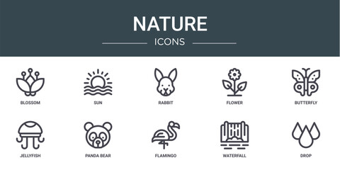 set of 10 outline web nature icons such as blossom, sun, rabbit, flower, butterfly, jellyfish, panda bear vector icons for report, presentation, diagram, web design, mobile app