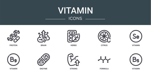 set of 10 outline web vitamin icons such as protein, brain, herbs, citrus, vitamin, vitamin, enzyme vector icons for report, presentation, diagram, web design, mobile app