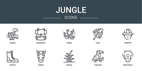 set of 10 outline web jungle icons such as snake, backpack, vines, leaf, hunter, boots, zebra vector icons for report, presentation, diagram, web design, mobile app