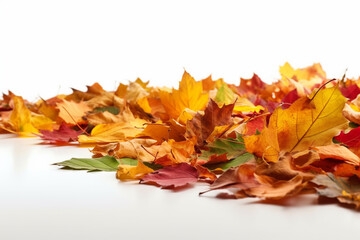 Autumn leaves isolated on white background. Autumn background with colorful leaves.