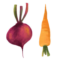 Beetroot and carrot isolated on white background. EPS 10 vector 