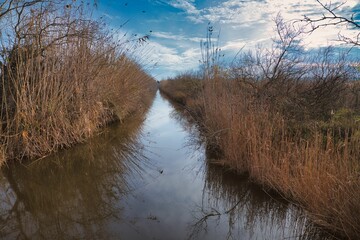 parque natural de la albufera de mallorca