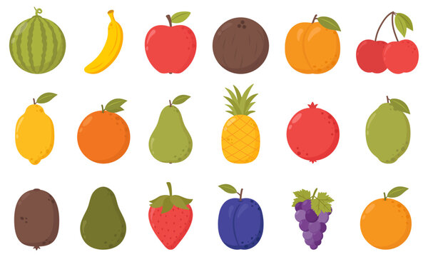 Set of fruits. Tropical fruit. Vector isolated fruit illustration set. Fruit icons vector set. Illustration of color fruits.