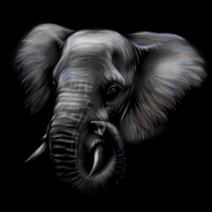 Elephant. Graphic portrait of an African elephant in sketch style on a black background.  Digital vector graphics.