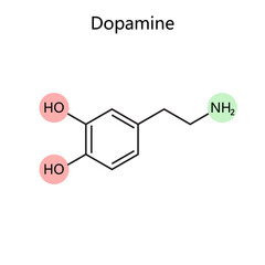 Chemical organic formula of dopamine diagram schematic vector illustration. Medical science educational illustration