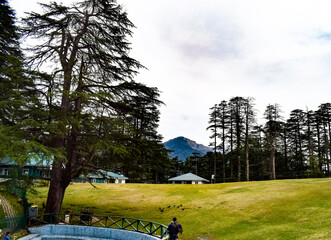 Landscapes of Patnitop in Jammu