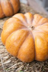 Vertical large orange gourd against a background of hay, mocap, copy space. Concept: seasonality, autumn, vegetables, harvest, place for design, decor for the holiday, Halloween pumpkin