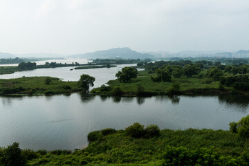 Fototapeta na wymiar lake with wetlands and forest