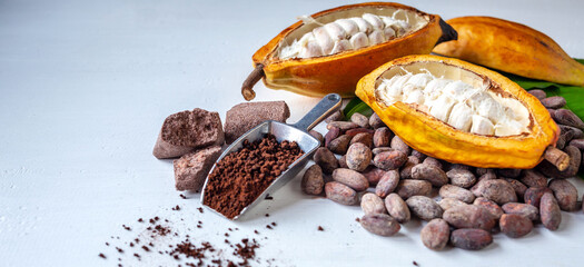 Cut in half ripe cacao pods with white cocoa seed and brown cocoa powder on white background