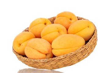 Several organic yellow apricots in a straw plate, macro, isolated on white background.