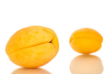Two ripe sweet apricots, macro, isolated on white background.
