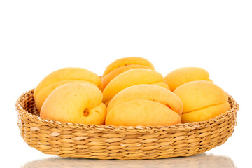 Several organic yellow apricots in a straw plate, macro, isolated on white background.