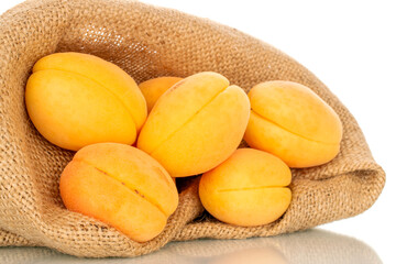 Several organic yellow apricots in a jute bag, macro, isolated on white background.