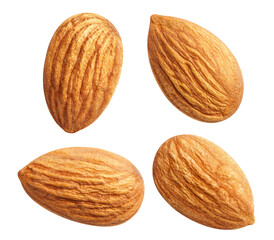 Collection of almonds cut out