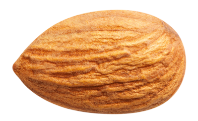 Delicious almond cut out