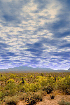 Sonora Desert Arizona and Four Peaks