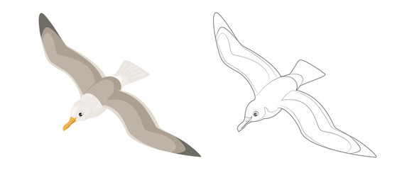 Seagull top view. Outline picture for coloring. Bird in flight isolated on a white background.  Soaring seabird silhouette. Vector simple icons.