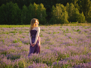 beautiful blonde girl with long hair on a lavender field in the evening - 625567493