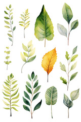 watercolor paintings of different types of leaves made with AI