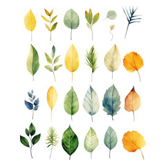 Obraz premium watercolor paintings of different types of leaves made with AI