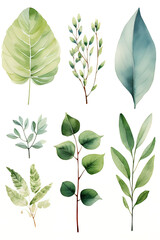 watercolor paintings of different types of leaves made with AI