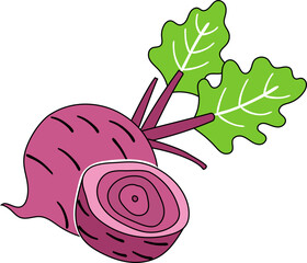 Beetroot Illustration