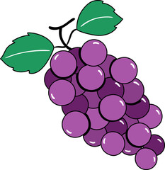 Grape Illustration