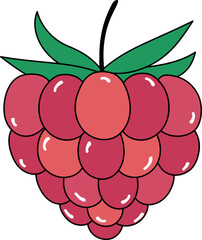 Raspberry Illustration
