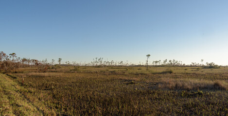 Sunsets in the Everglades National Park in Florida during winter vacation 