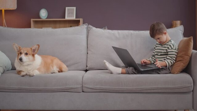 Caucasian little boy with down syndrome and his cute corgi dog resting together on couch in cozy living room. Boy playing game on laptop computer