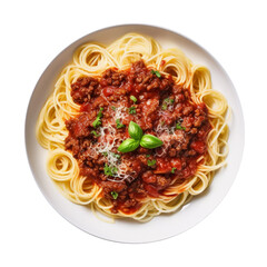 spaghetti with tomato sauce