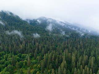 Fototapeta na wymiar Clouds drift across the rugged, forested landscape in Olympic National Park. This mountainous region of western Washington is absolutely beautiful and easily accessed during summer months.