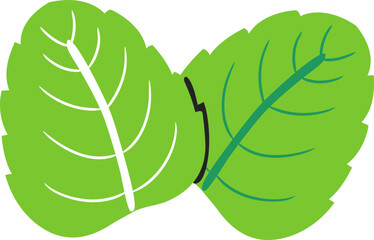 Mint Leaves Flat Style Illustration
