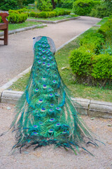 Fototapeta premium Spain, Madrid, 26.05.2016:&nbsp;Peacocks in the garden walk freely along the alleys