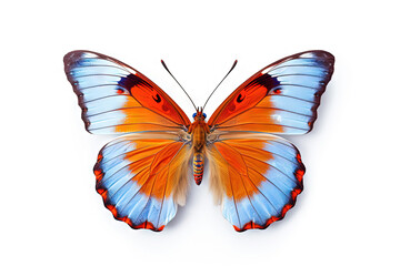 Naklejka premium Butterfly with colorful wings isolated on white. Generative AI.